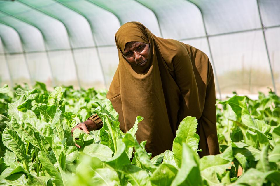 Zainab Mohamed, a pastoralist mother of five, stands inside her farm.
