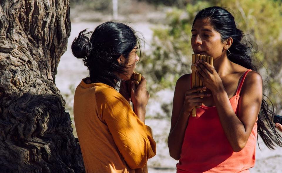 The Siku is a traditional panpipe of the Amaicha del Valle in Argentina's Tucuman province.