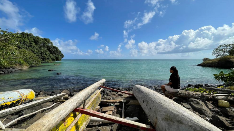 PIF bloc argues release of water could have a major impact on fishing grounds that island economies rely on, and where up to half of the world's tuna is sourced.