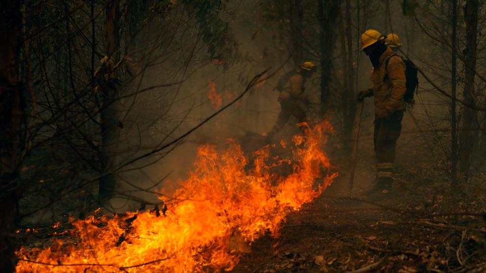 Brigade members of the National Forestry Corporation fight a fire in Nacimiento, Concepcion province, Chile on February 4, 2023.