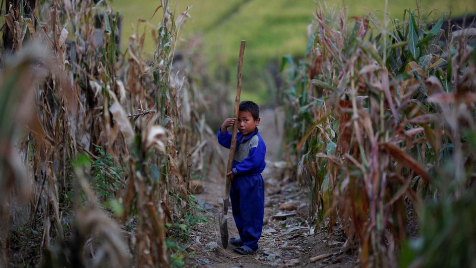 The current food problem is more an issue of distribution than of an absolute shortage of grain since much of the grain harvested last year has not yet been eaten, ministry officials said.