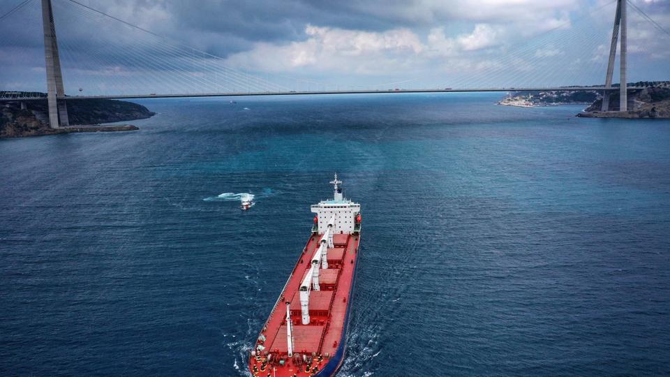 The Black Sea Grain Initiative brokered by Türkiye and the United Nations last July allowed grain to be exported from three Ukrainian ports.