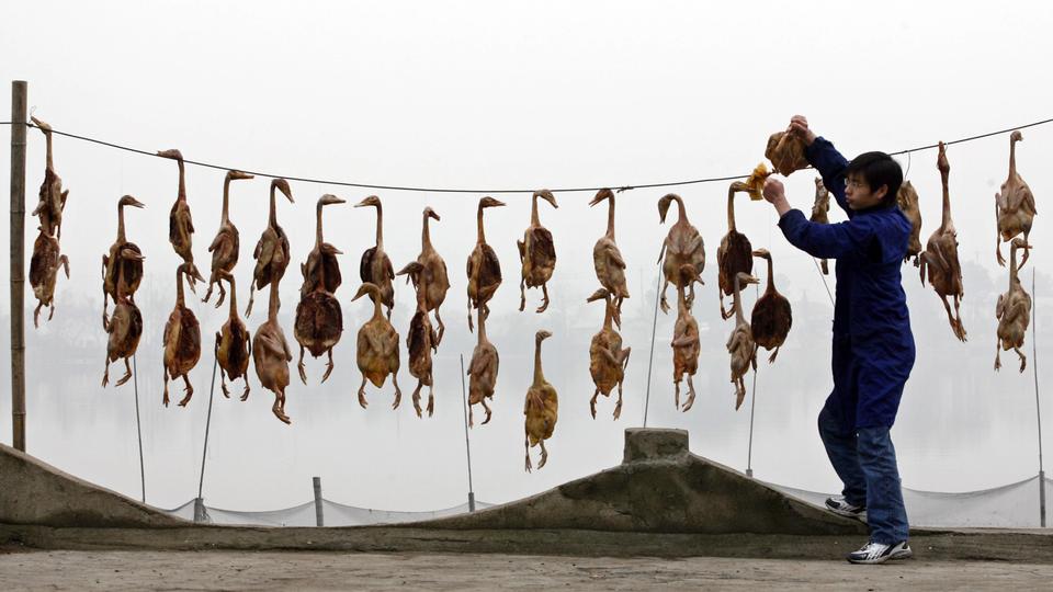 The WHO chief Tedros has criticised China for not sharing earlier the genetic information gathered in Wuhan, adding that “this data could have and should have been shared three years ago.”