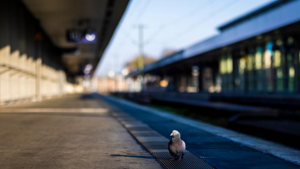 German transport union EVG called for the rail strike as workers demand higher wages to cope with high rates of inflation, the latest industrial action in Europe's largest economy.