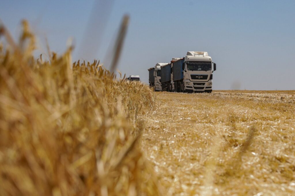 Trucks loaded with barley grain are seen in a field during harvesting, amid Russia's attack on Ukraine, Odessa region, Ukraine, June 23, 2023. (Reuters Photo)