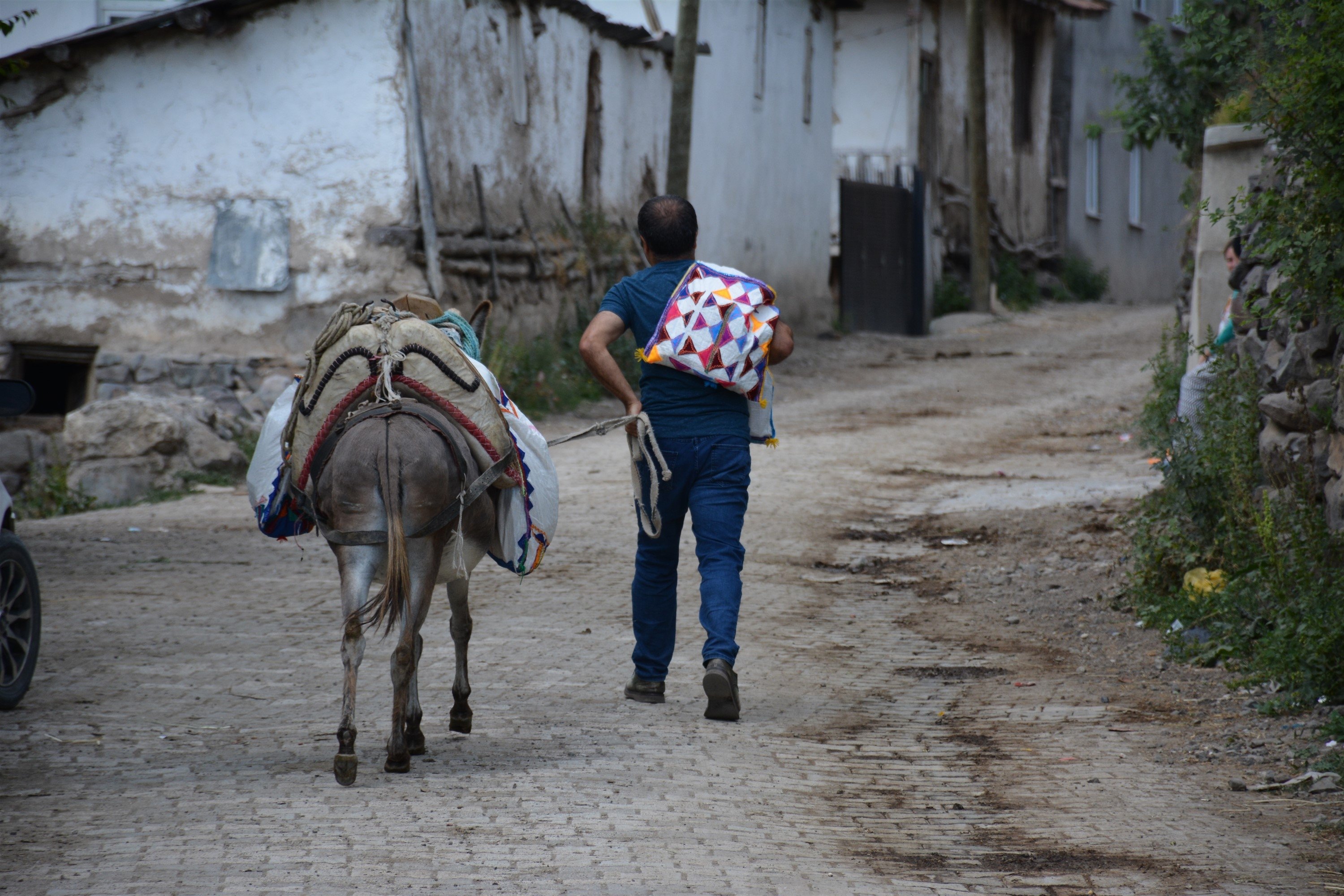 281951 Metin Uğur with his bag of books and his donkey in Karacaören, Tokat, Türkiye, July 11, 2023. (DHA Photo)