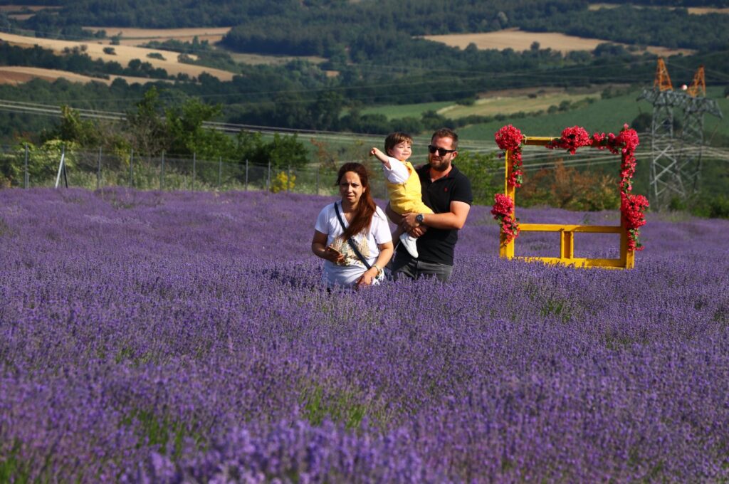 A family is enjoying the captivating atmosphere of a lavender field in Tekirdağ, Türkiye, July 11, 2023. (AA Photo)