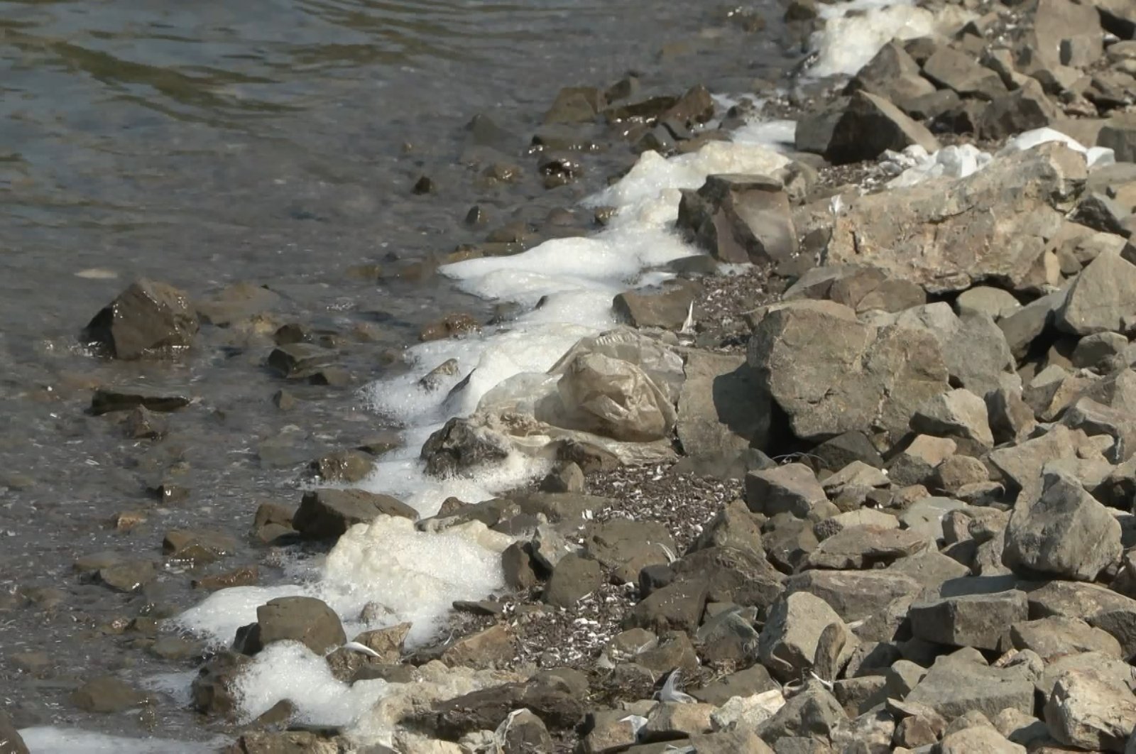 The dams with a low occupancy see a rising occurrence of foam and a mixture of bottom dirt in Istanbul, Türkiye, July 13, 2023. (DHA Photo)