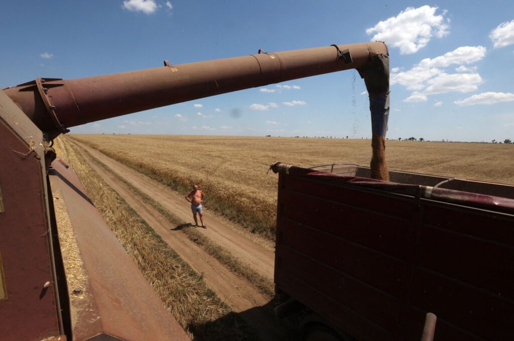 A farmer observes as a combine harvests wheat on a field near Novosofiivka village, Mykolaiv region Ukraine, July 4, 2023. (AFP Photo)