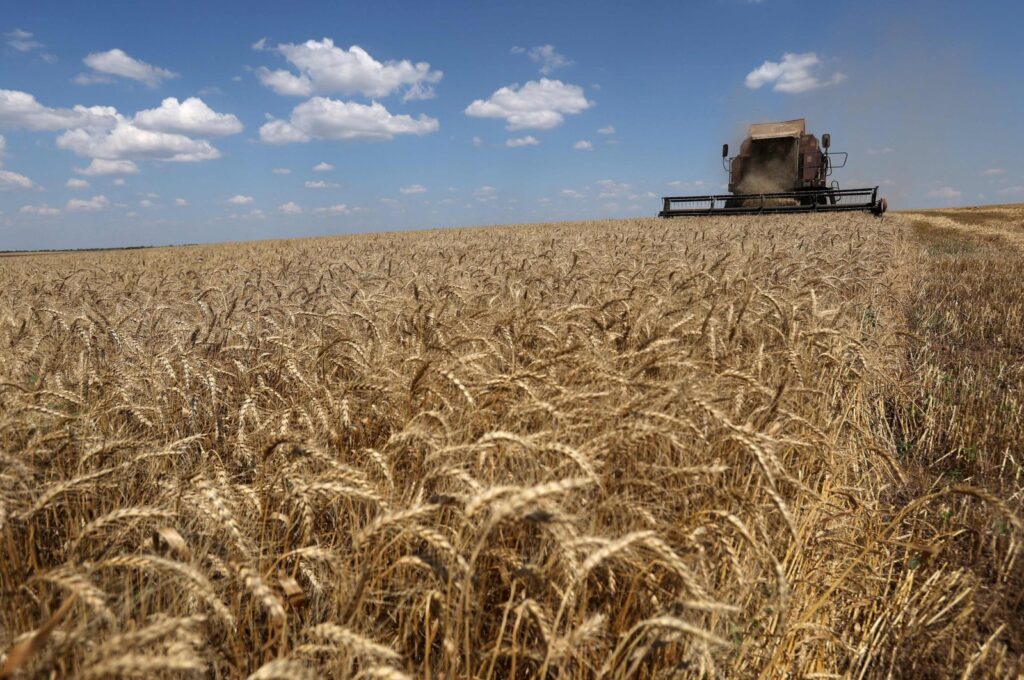 A combine harvests wheat on a field near Novosofiivka village, Mykolaiv region, Ukraine, July 4, 2023. (AFP Photo)