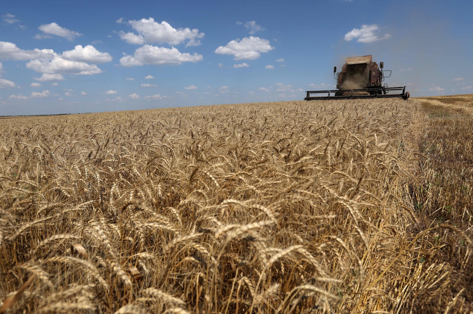 A combine harvests wheat on a field near Novosofiivka village, Mykolaiv region, Ukraine, July 4, 2023. (AFP Photo)