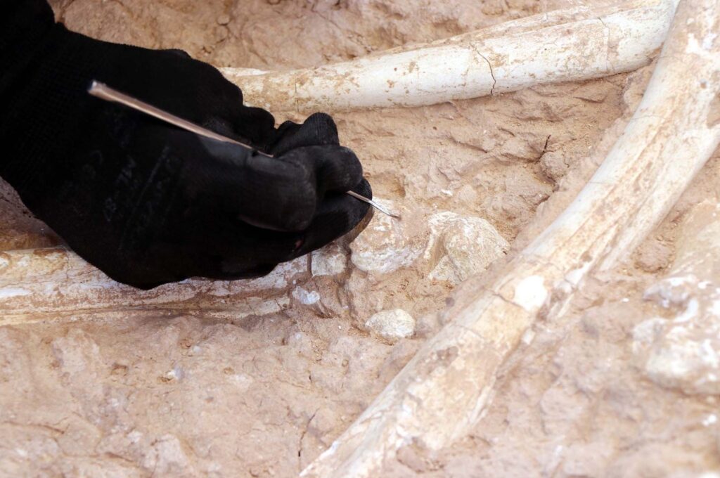 Archaeologists work at an excavation site where a 7.5-million-year-old giraffe bone was discovered, in Kayseri, Türkiye, July 12, 2023. (AA Photo)