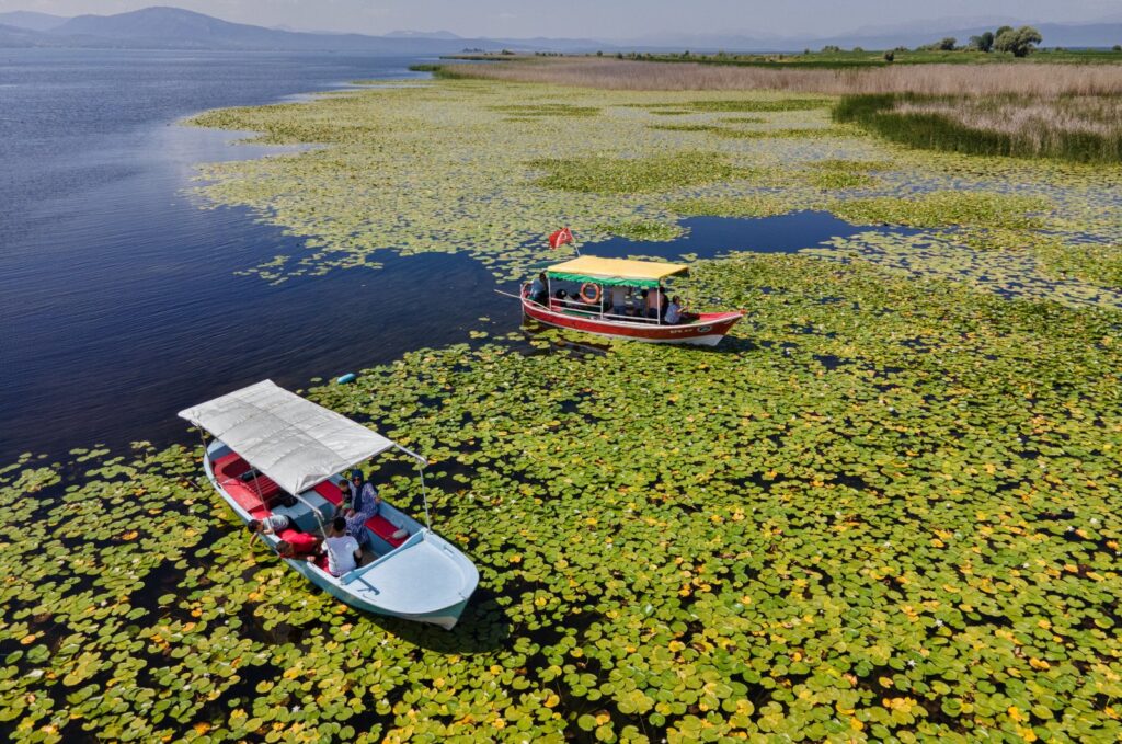 A boat glides through the lilies in Lake Beyşehir, Konya, Türkiye, July 18, 2023. (AA Photo)