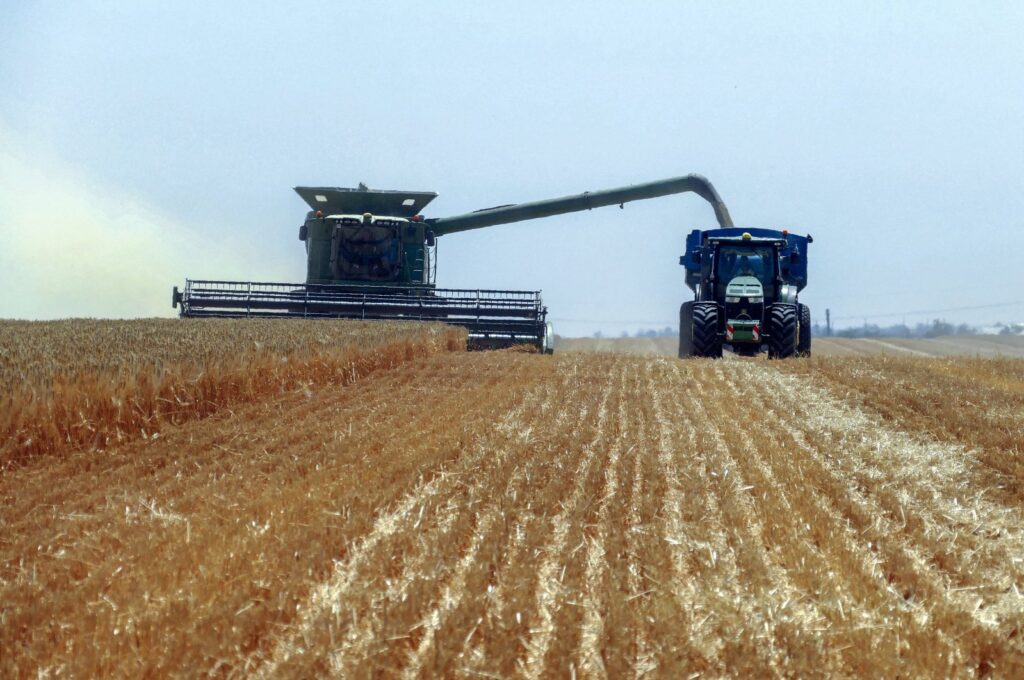Ukrainian farmers harvest grain in the Odessa region, south Ukraine, June 23, 2023. (EPA Photo)
