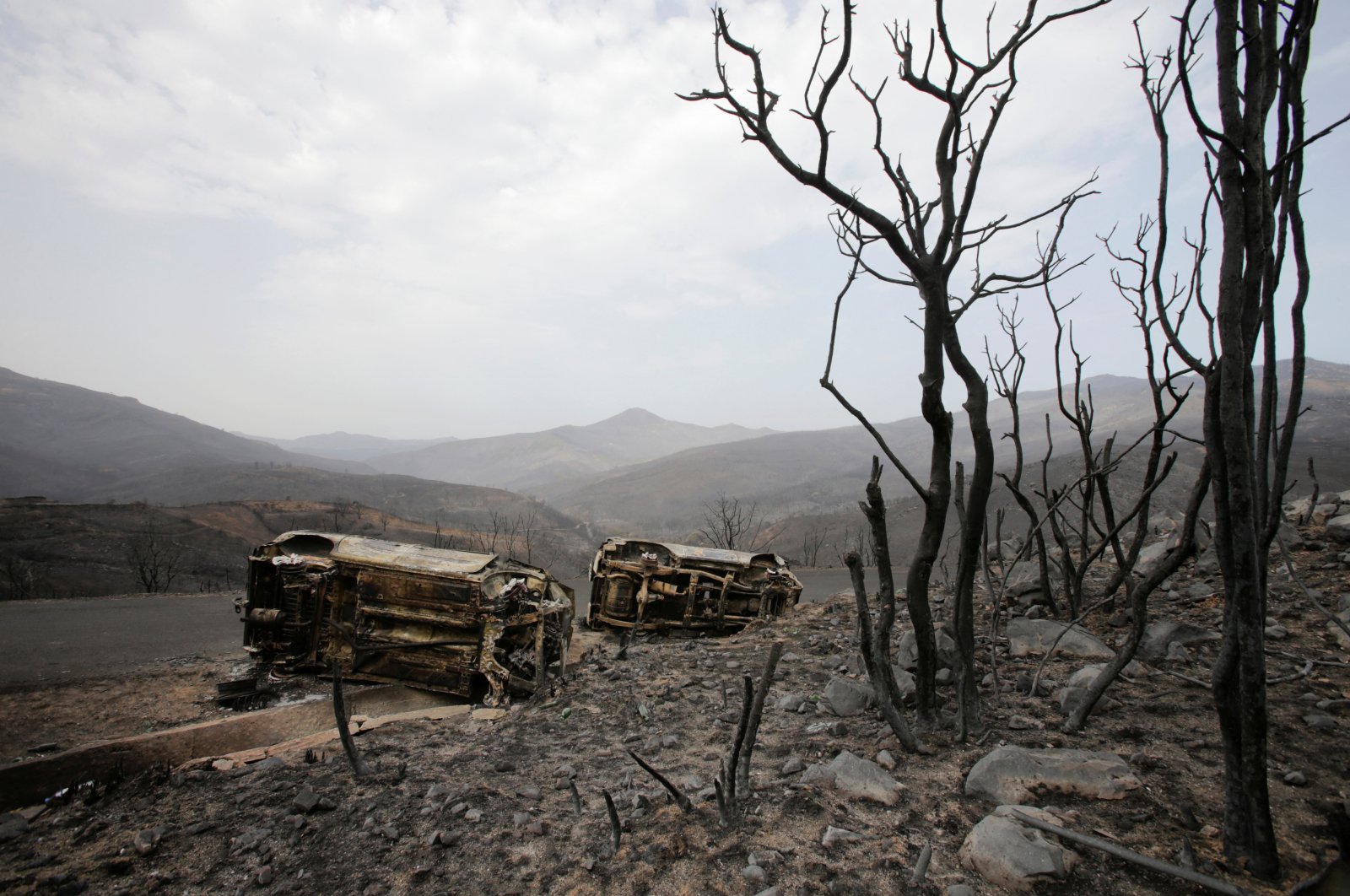 Burnt trees and vehicles are seen in the aftermath of a wildfire in Bejaia, Algeria, July 25, 2023. (Reuters Photo)