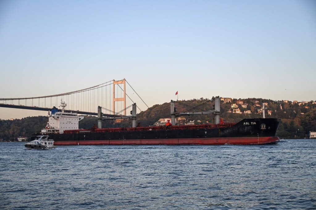 Asl Tia, a cargo vessel carrying Ukrainian grain, sails under Fatih Mehmet Sultan Bridge on the Bosporus toward the Marmara Sea, Istanbul, Türkiye, Nov. 2, 2022. (AFP Photo)