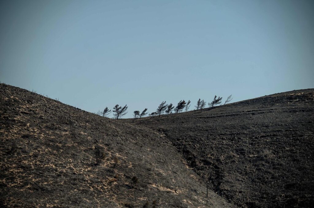 Scorched land following a wildfire near Vati, on the island of Rhodes, Greece, July 26, 2023. (AFP Photo)