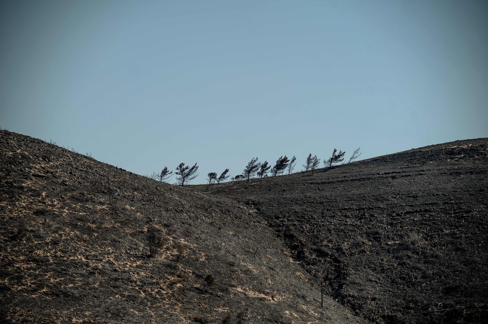 Scorched land following a wildfire near Vati, on the island of Rhodes, Greece, July 26, 2023. (AFP Photo)