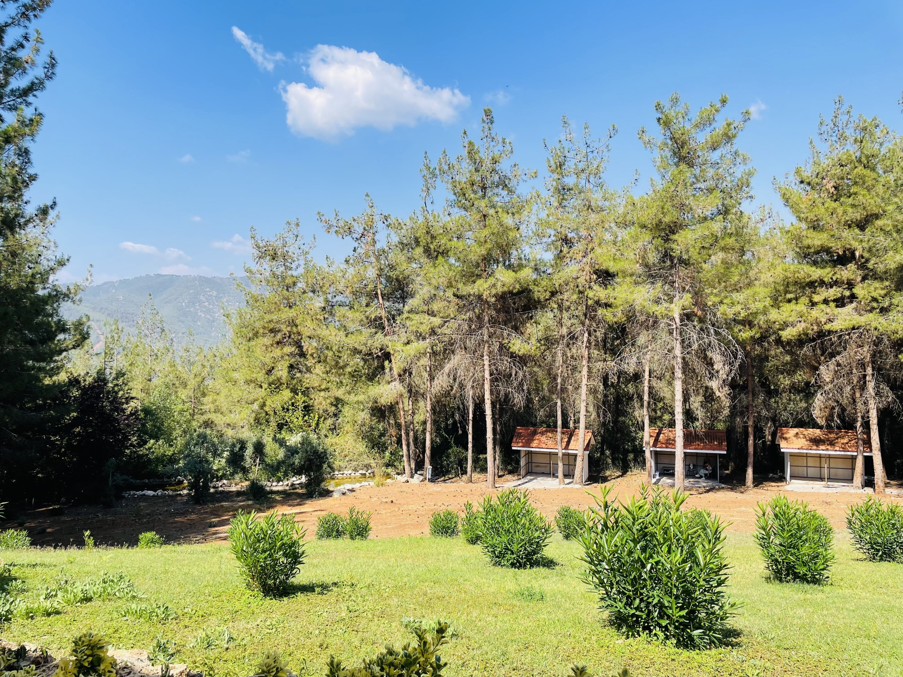 285550 A view of Borcak plateau where artists were hosted as part of the Arnica Art Land Workshop, Mersin, Türkiye, July 29, 2023. (Photo by Buse Keskin)