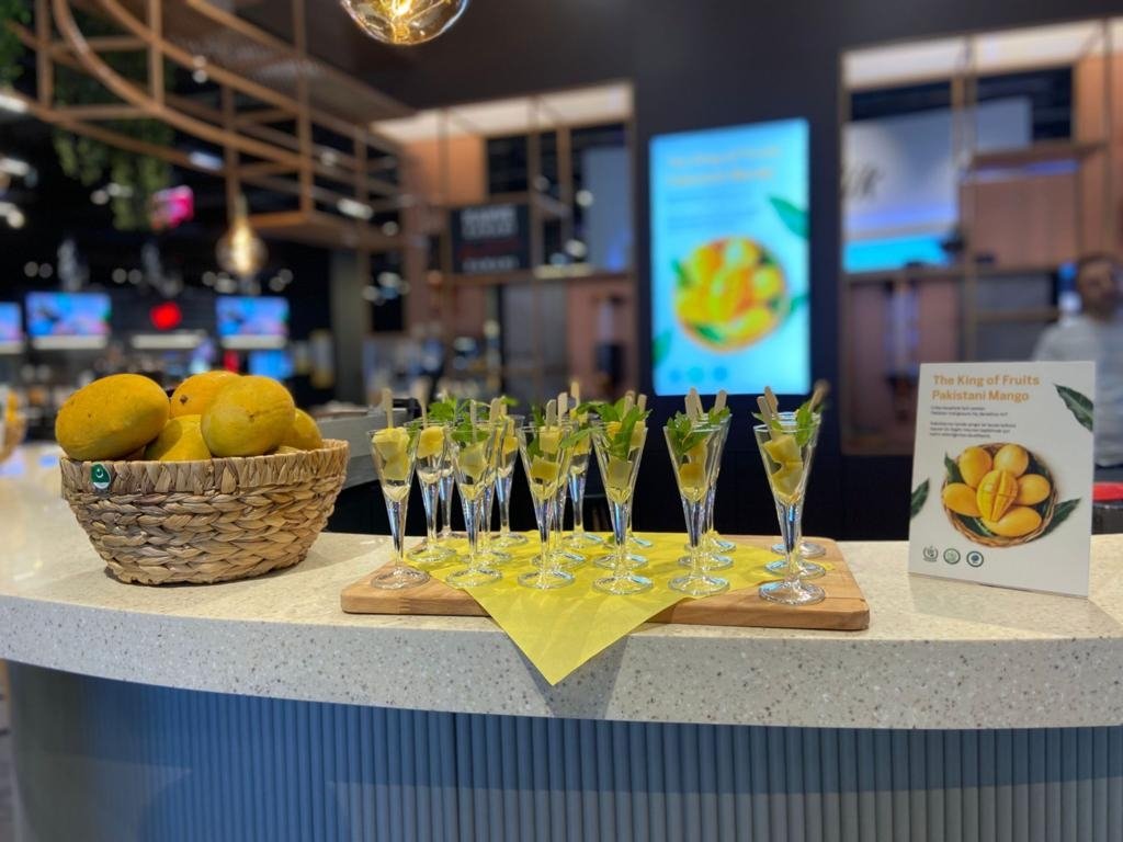 An assortment of mouthwatering mango-based recipes, Istanbul, Türkiye, Aug. 4, 2023. (Photo courtesy of Embassy of Pakistan)