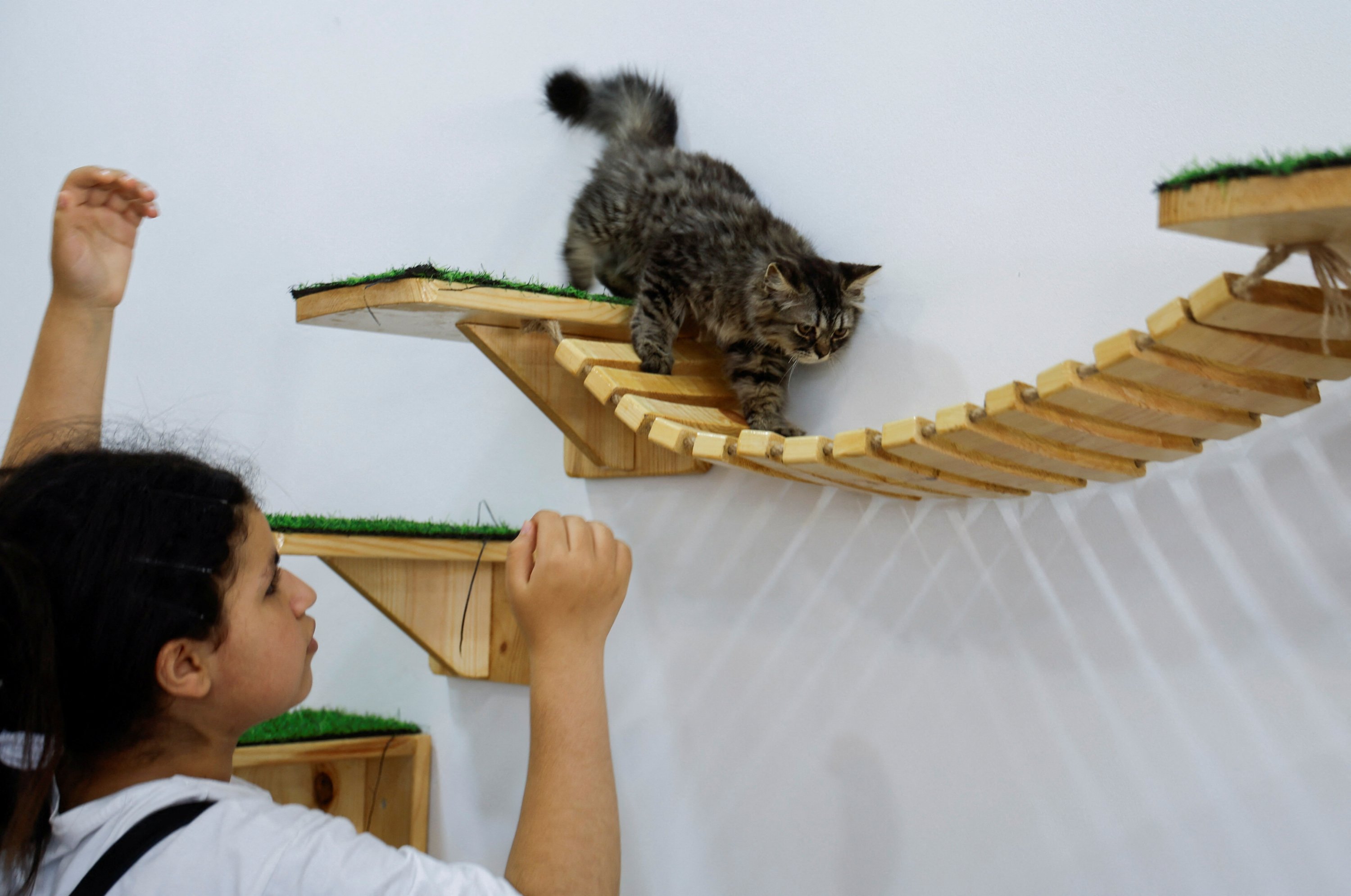 288501 A Palestinian girl plays with a cat in a MEOW shop, a cafe for cats, Gaza Strip Palestine, Aug. 20, 2023. (Reuters Photo)
