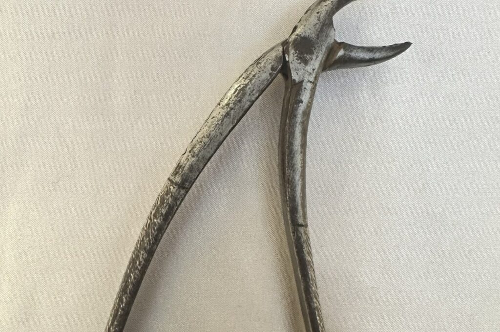Dental forceps produced during the Ottoman era in 1898 are now displayed at the country's first Dental Health Museum, Istanbul, Türkiye. (Photo courtesy of the Dental Health Museum)