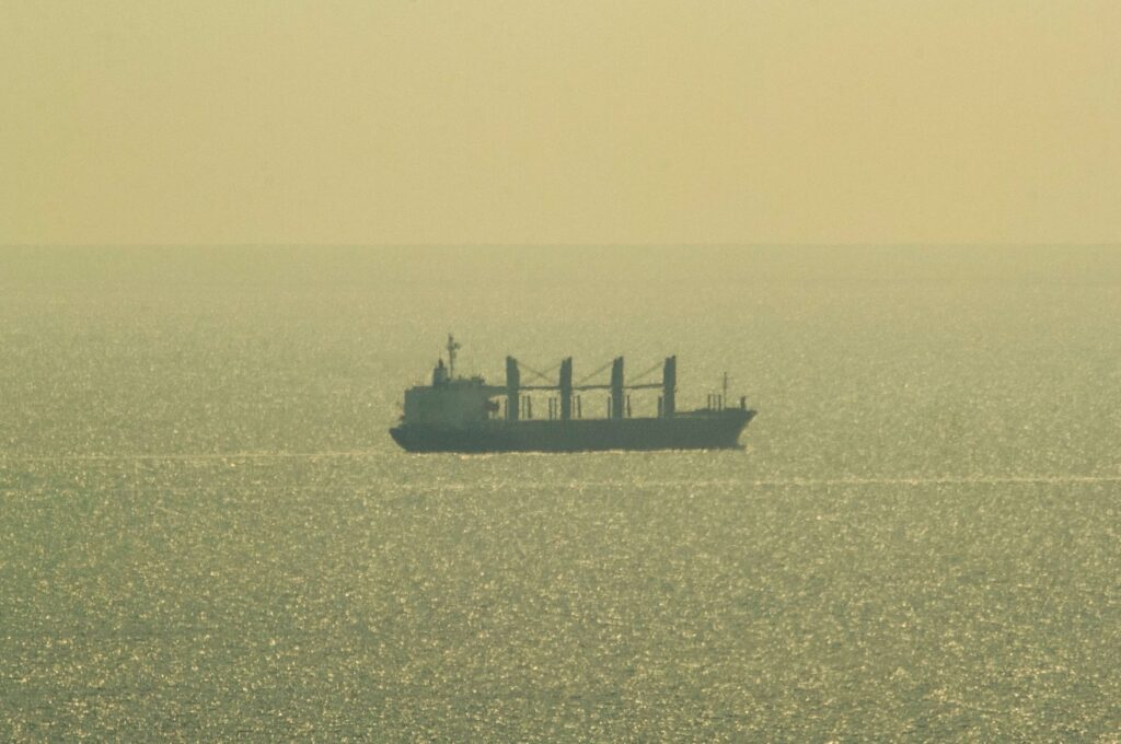 The bulk carrier Primus, registered in Liberia, sails toward the Bulgarian Black Sea's port of Varna, Aug. 26, 2023. (AFP Photo)