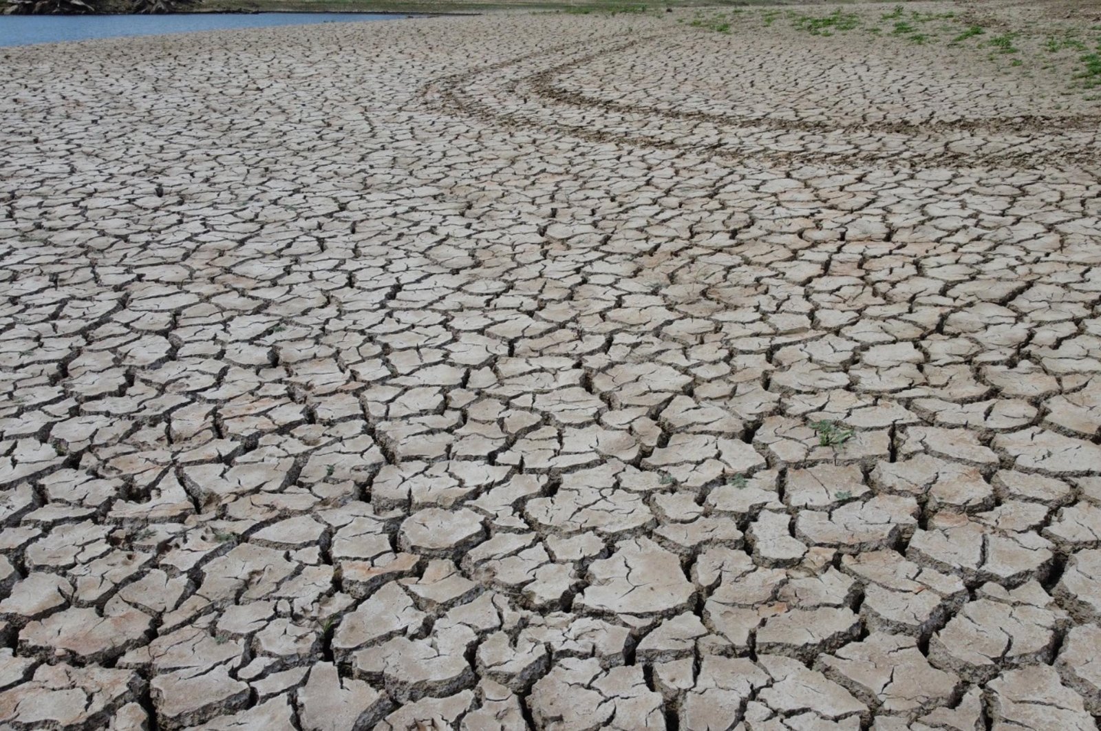 An image of Lake Keramettin hit by severe drought, Edirne, Türkiye, Sept. 01, 2023. (DHA Photo)
