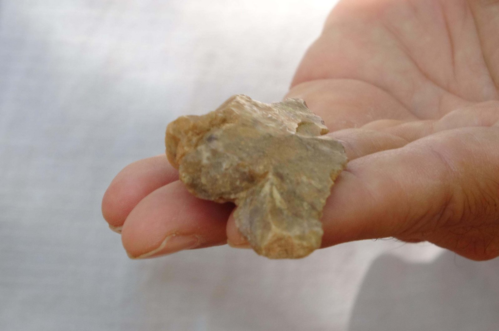 A tool unearthed from the Middle Paleolithic Age, Çanakkale, Türkiye, Sept. 3, 2023. (DHA Photo)