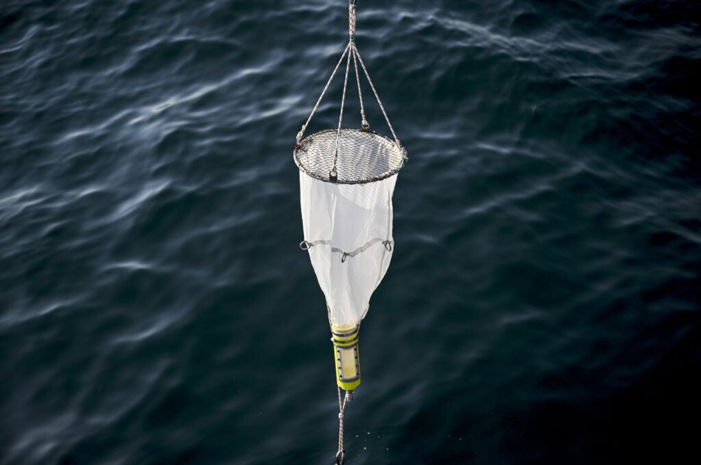 Scientists drop a device to measure the oxygen level in the Marmara Sea, Istanbul, Türkiye, Sept. 5, 2023. (AA Photo)