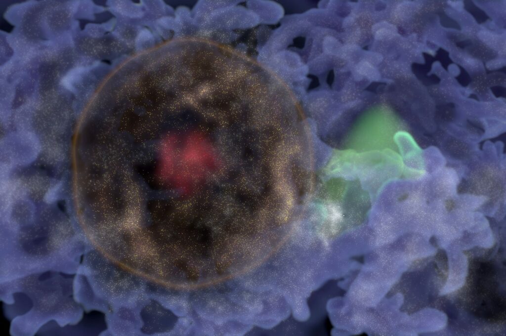 A 3D representation of the galaxy "Bubble," colored in brown. with the position of the Milky Way, with a small white dot located outside the bubble on the right, in a white cloud. The blue wisps represent the "cosmic web," the filaments of galaxies that make up other large structures in the Universe, such as Laniakea. (Animea Studio / CEA Handout / AFP Photo)