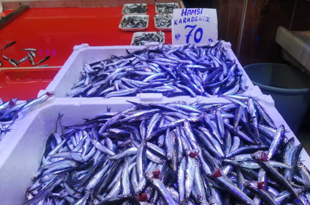 Anchovies are in huge demand in the public market in Sakarya, Türkiye, Sept. 10, 2023. (Photo by Sisa Bodani)