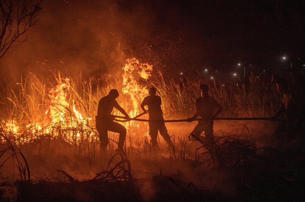 Police officers use a hose in effort to extinguish wildfires in Ogan Ilir regency, South Sumatra province, Indonesia, Sept. 20, 2023. (Reuters Photo)