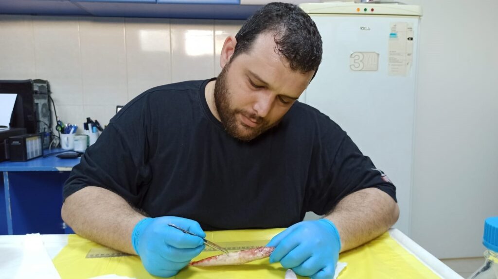 A researcher conducts a genetic analysis of fish species from the Red Sea found in the Mediterranean, Türkiye, Sept. 28, 2023. (DHA Photo)