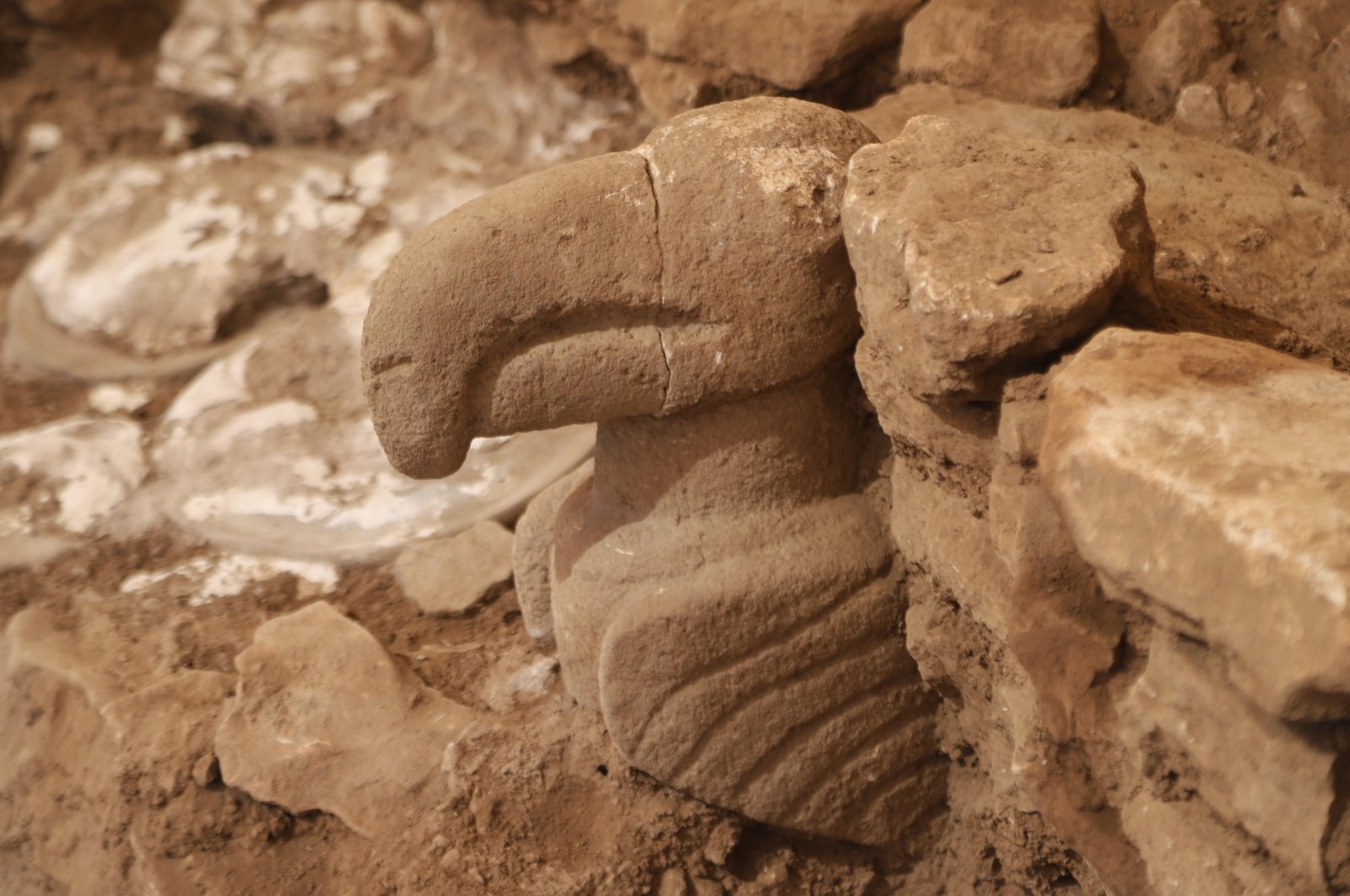 A vulture statue was discovered in Türkiye's Neolithic settlement Karahantepe, Şanlıurfa, Türkiye, Sept. 30, 2023. (IHA Photo)