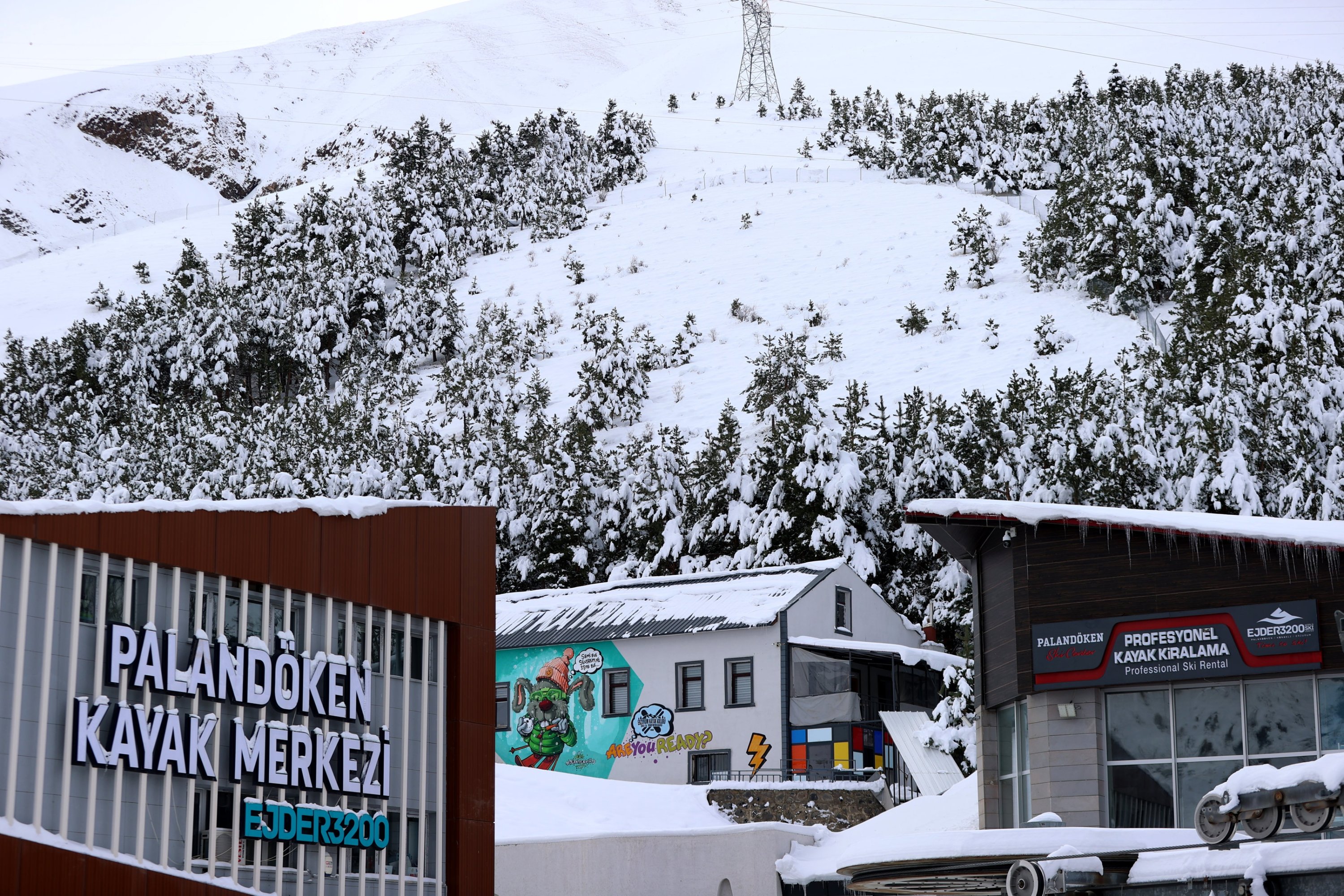 303084 Pine trees and slopes are covered in snow at Palandöken Ski Center, Erzurum, eastern Türkiye, Nov. 23, 2023. (AA Photo)