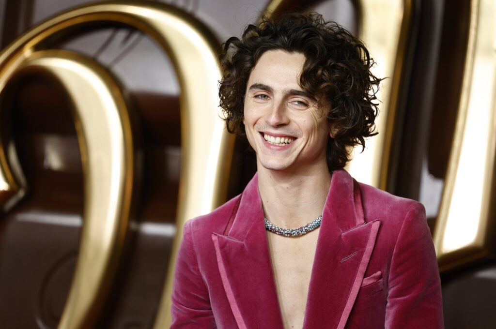 U.S. actor Timothee Chalamet attends the world premiere of the movie "Wonka" at the Royal Festival Hall in London, U.K., Nov. 28, 2023. (EPA Photo)