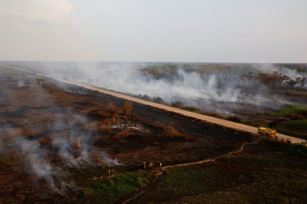 Agents of ICMBio (Chico Mendes Institute for Biodiversity Conservation) and IBAMA (Brazilian Institute for the Environment and Renewable Natural Resources) work to extinguish a fire in the Pantanal, the world's largest wetland, in Pocone, Mato Grosso state, Brazil Nov. 21, 2023. (Reuters Photo)
