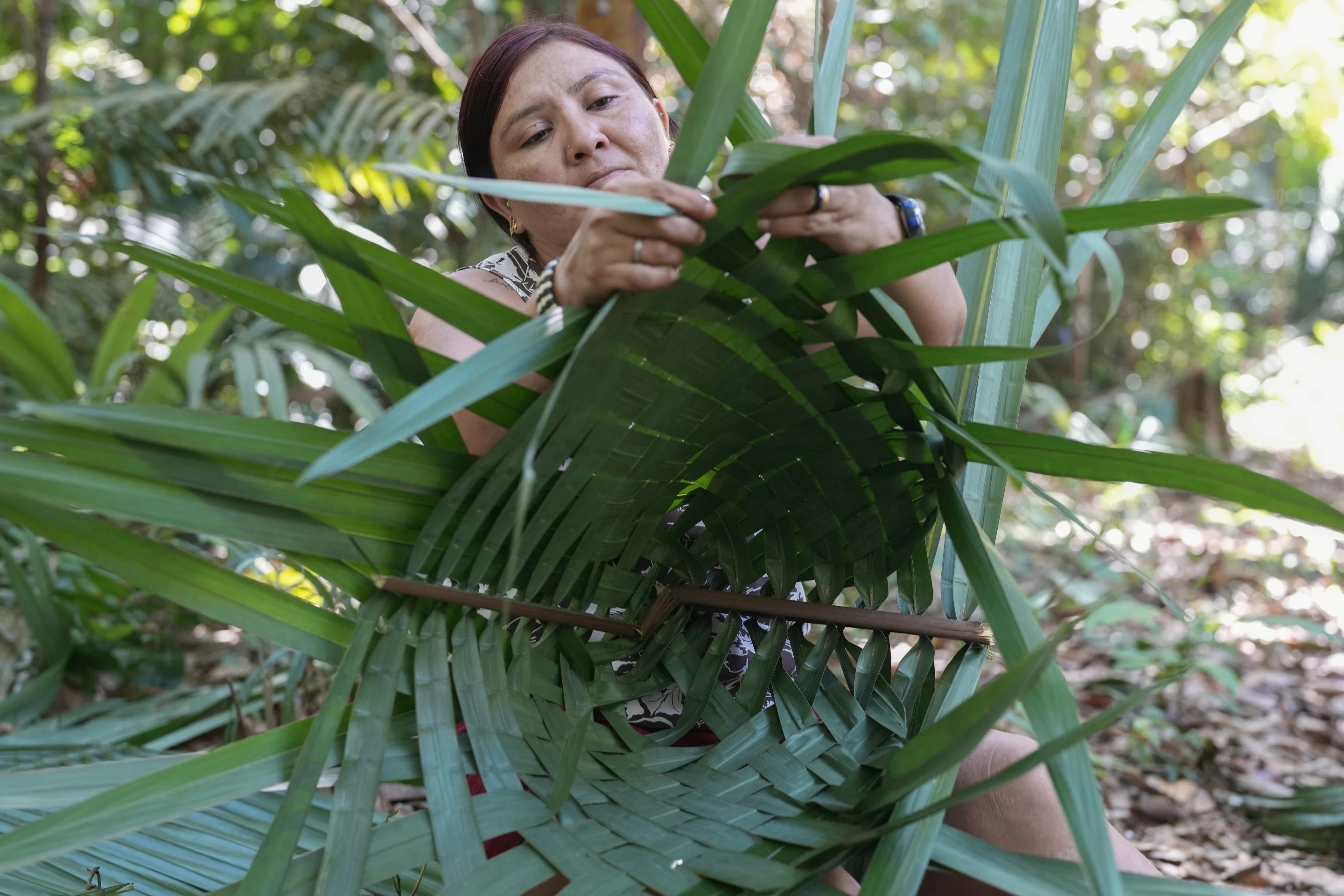 303874 Mandei Juma weaves a basket from palm leaves in the Juma Indigenous community near Canutama, Amazonas state, Brazil. July 9, 2023. (AP Photo)