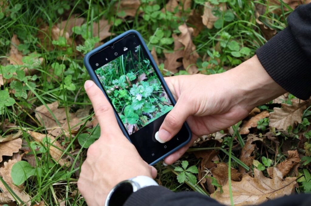 Nature lovers participating in the "Count Species" recorded new flora and fauna species, Ormanya, Türkiye, Dec. 10, 2023. (IHA Photo)
