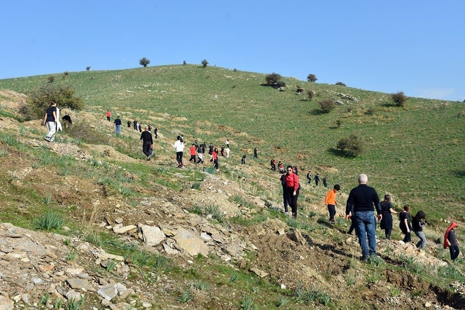 Pine and acacia trees planted to establish shaded areas for grazing animals within the pasture and to mitigate erosion, Aydın, Türkiye, Dec. 11, 2023. (IHA Photo)