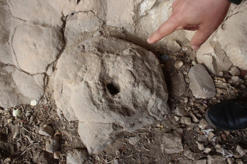 A researcher points to a section of a 2-kilometer-long trench network and control center from World War I, Antalya, Türkiye, Jan. 7, 2024. (DHA Photo)