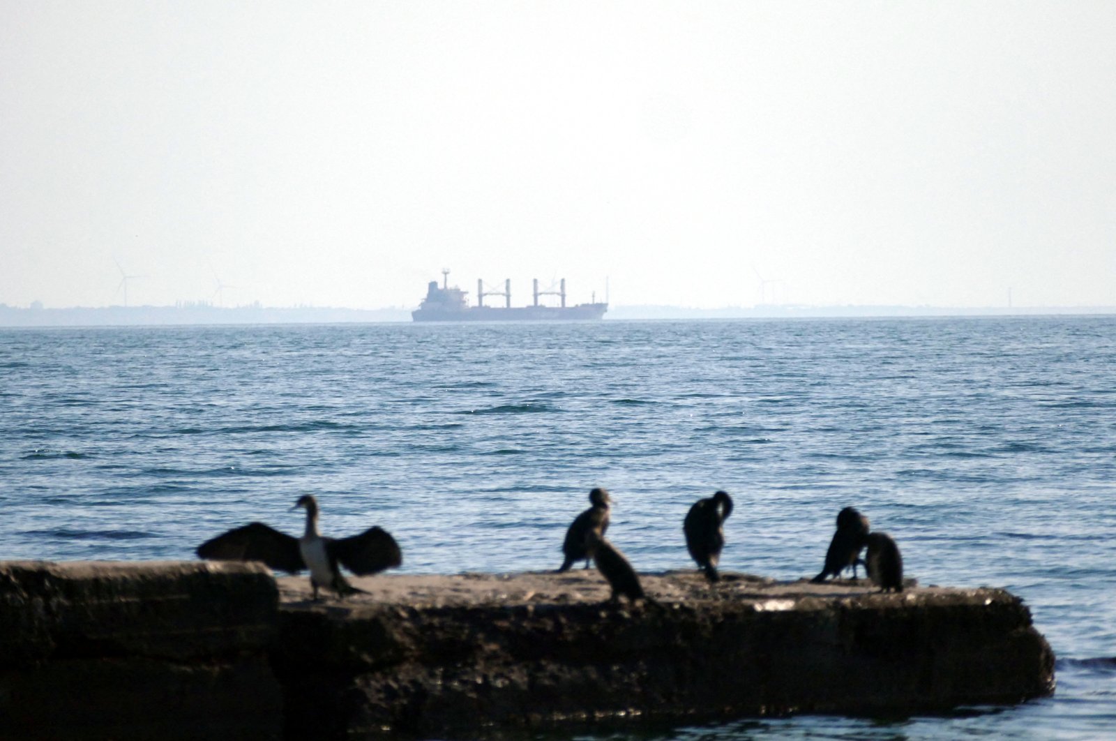 The Turkish bulk carrier TQ SAMSUN, loaded with Ukrainian agricultural products as part of the grain initiative, leaves the Port of Odesa, shortly before Russia announced it would pull out of the agreement, southern Ukraine, July 16, 2023. (Reuters Photo)