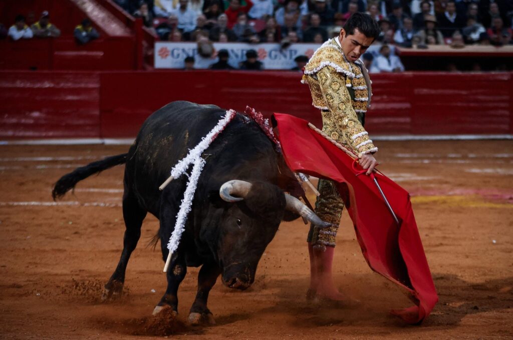 Amid a legal dispute over bullfights in Mexico City, the festival tied to Candelaria persists annually from Jan. 28 to Feb. 9, featuring cultural events among Tlacotalpan's vibrant painted houses. (AFP Photos)