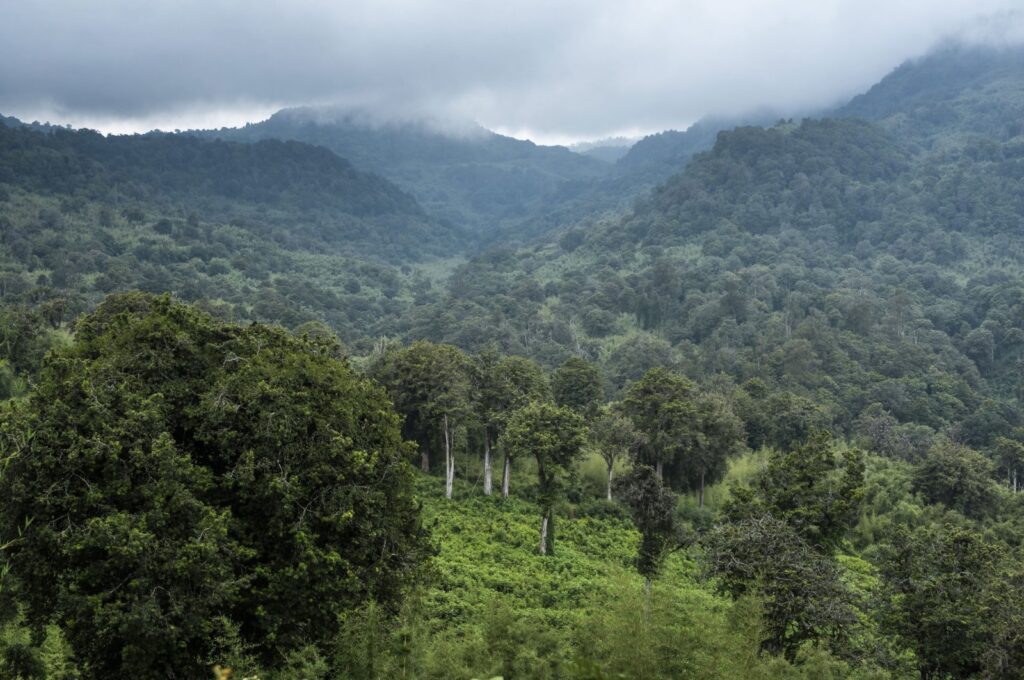 An undated aerial view of Kenya's Aberdare Range, where plans are underway to build a 32-mile (51-kilometer) tarmac road despite environmental objections, sparking debate over conservation versus development. (Getty Images Photo)