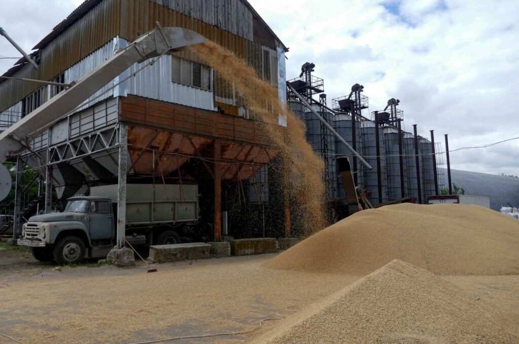 A truck is seen at a grain terminal during barley harvesting in the Odesa region, Ukraine, June 23, 2022. (Reuters Photo)