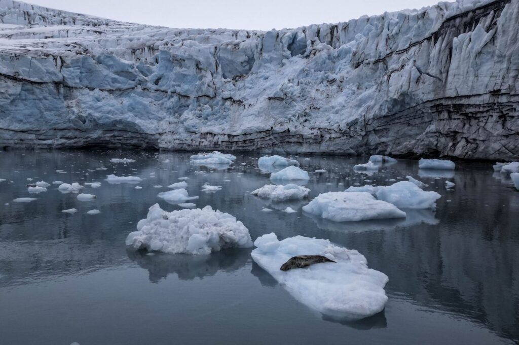 The successful retrieval of a hydrophone from 500 meters deep marks a milestone in the expedition, demonstrating the team's excitement and expertise in exploring Antarctic waters. (AFP Photo)