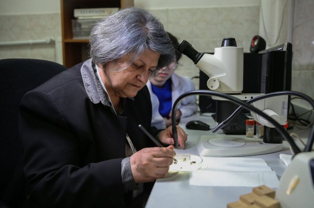 Forensic Biology Specialist Nihal Açıkgöz briefs about insect usage in clarifying murder cases, Anakra, Türkiye, Feb. 19, 2024. (AA Photo)