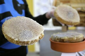 The Bitlis honey, produced in the high plateaus rich with endemic flora, was deemed worthy of the gold honey award at the 2024 Paris International Honey Awards (PIHA), Paris, France, Feb. 22, 2024. (AA Photo)