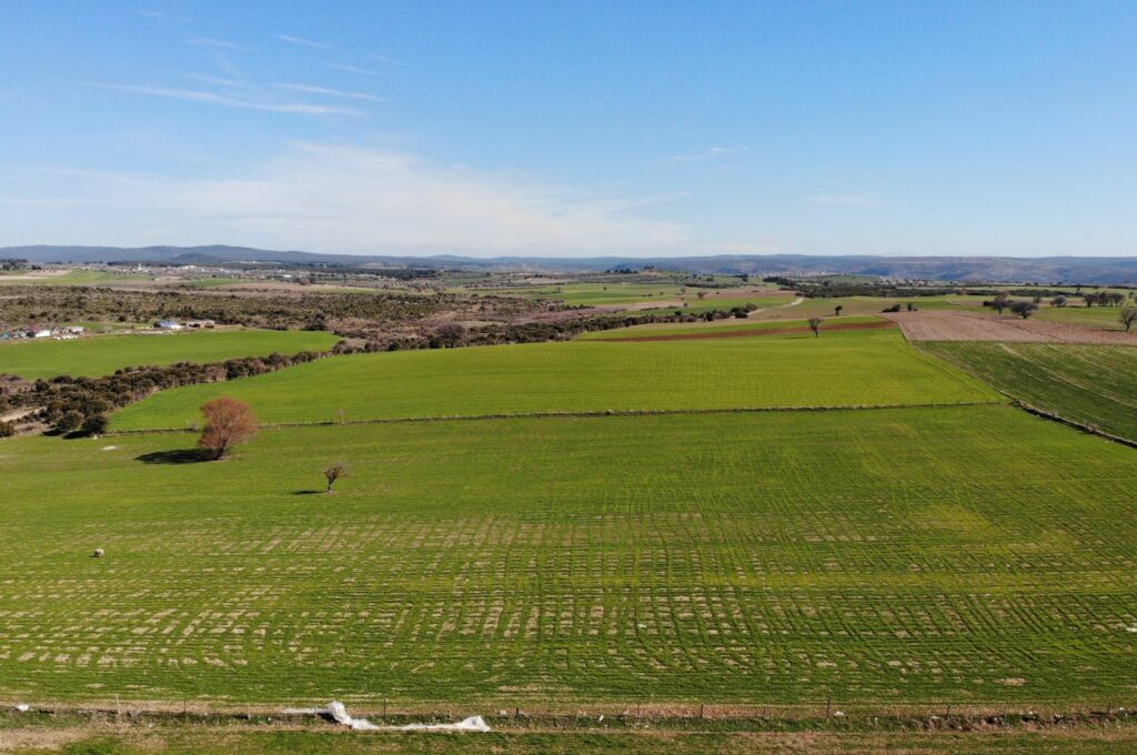 Agricultural land in the central villages of Çanakkale, Türkiye, Feb. 26, 2024. (IHA Photo)